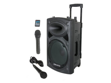 US Blaster P10A MKII - Портативная акустическая система