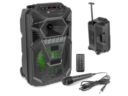 Fenton FPC8T портативная колонка на аккумуляторе