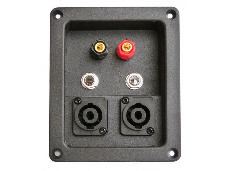 98326_P1090486 M-Voice PS01 - Задняя крышка с гнездами для колонок - imagine 1