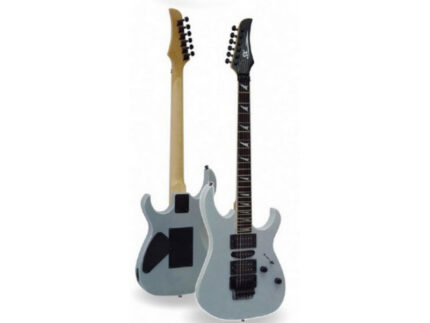 SX SEG1/CUS/MSL электрогитара