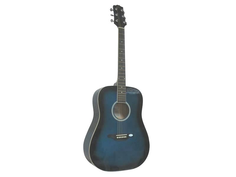 SX DG 25 VT BUS SX DG25VT/BUS гитара акустическая — изображение 1