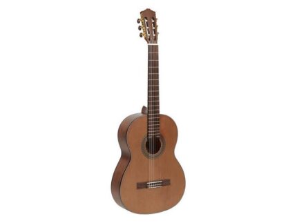 Salvador Cortez CC06 гитара классическая