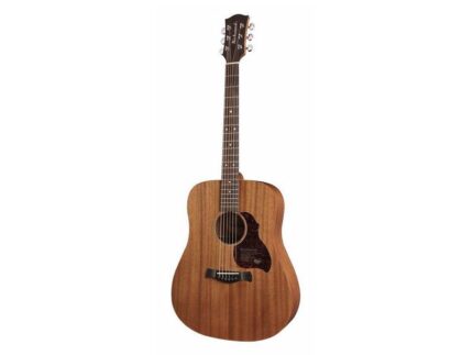Richwood D50 гитара акустическая