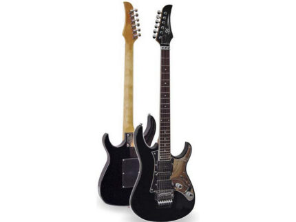 SX SEG1/PG электрогитара