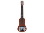 SX LG1/NA W/LGC200+LGS50 лэп-стил-гитара