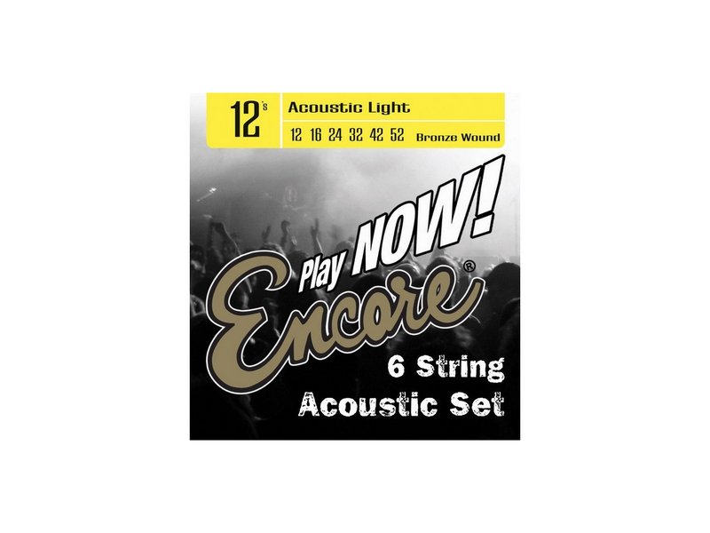 17795_encore_ews_12 Encore EWS12 - Струны для акустической гитары - imagine 1