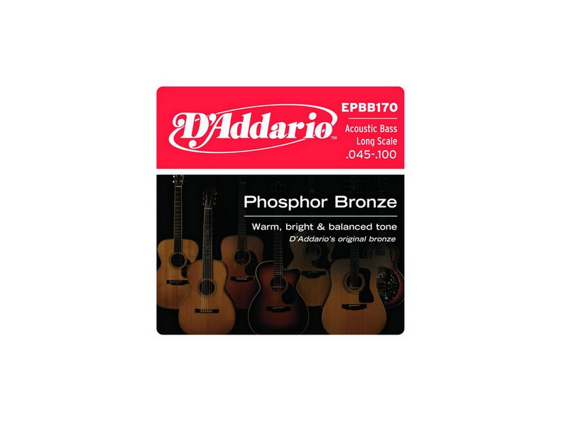 97303_epbb170- (1) D'Addario EPBB170 - Струны для бас гитары — изображение 1