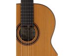 Salvador Cortez All Solid Master Series CC80 гитара классическая - imagine 4