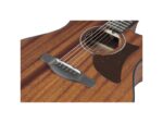 Ibanez AAM54CE-OPN гитара электроакустическая - imagine 7