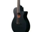 Ibanez AEG721-BOT электроакустическая 7-и струнная гитара - imagine 4