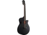 Ibanez AEG721-BOT электроакустическая 7-и струнная гитара - imagine 3