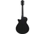 Ibanez AEG721-BOT электроакустическая 7-и струнная гитара - imagine 2