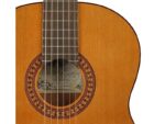Salvador Cortez CC-22E гитара классическая со звукоснимателем - imagine 3
