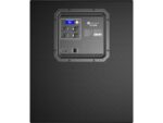 EV ELX200-18SP Активный сабвуфер — изображение 3