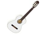 Ortega R121SNWH гитара классическая